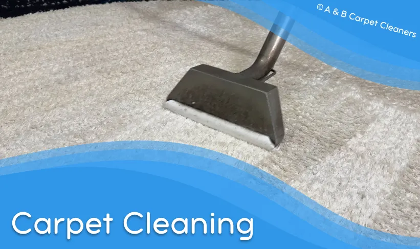 Professional Carpet Cleaning Service